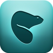 pocket-app-icon